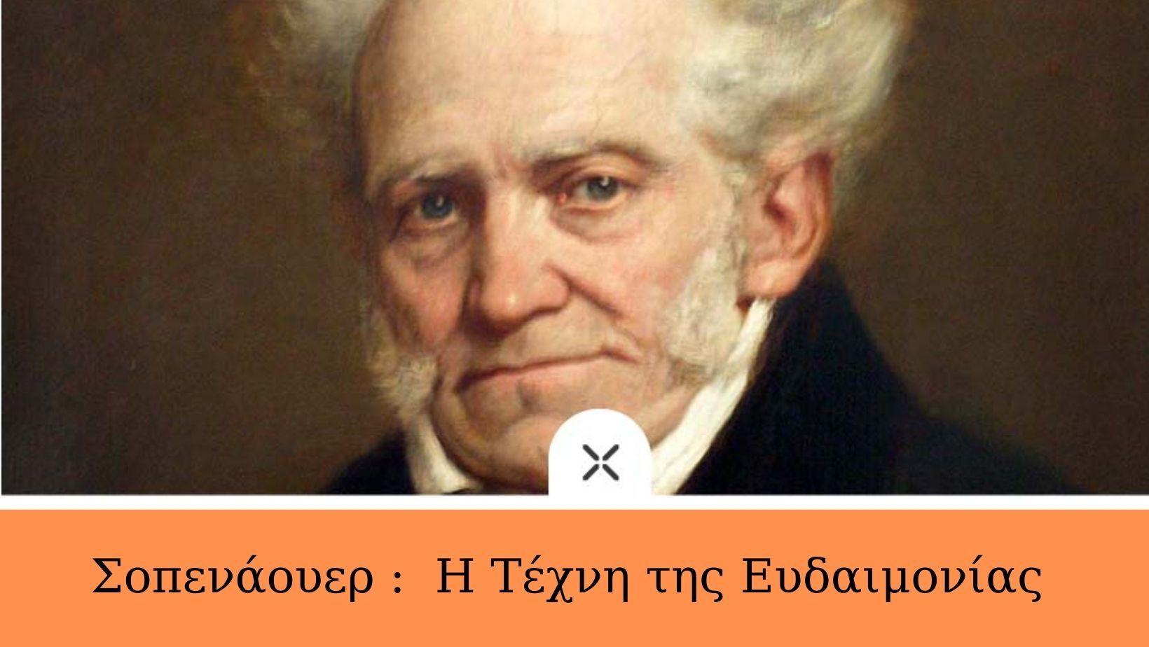 Σοπενάουερ: Η Τέχνη της Ευδαιμονίας